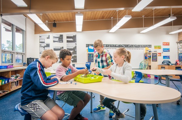 Shape and Reshape Spaces